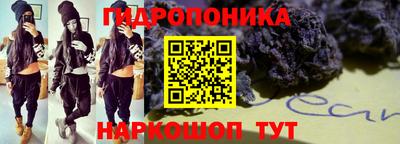гашик Шахты
