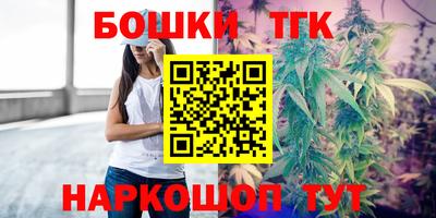 гашик Шахты