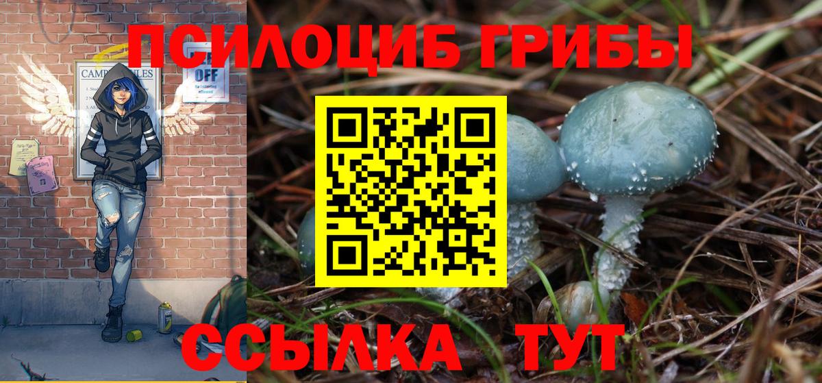 Галлюциногенные грибы Psilocybine cubensis  Вход с VPN  Саки  Псилоцибиновые грибы GOLDEN TEACHER 